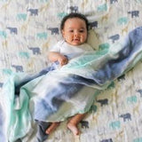 aden + anais Expedition 3pk silky soft swaddles